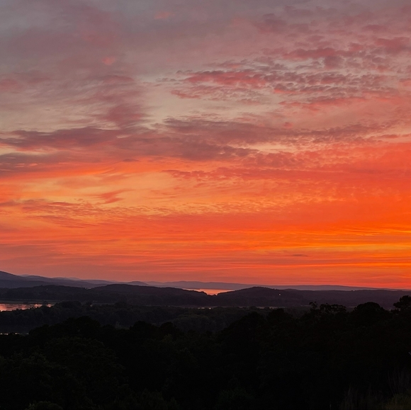 Posh Ambassador II, over 6400 sales - Picture 7 of 7